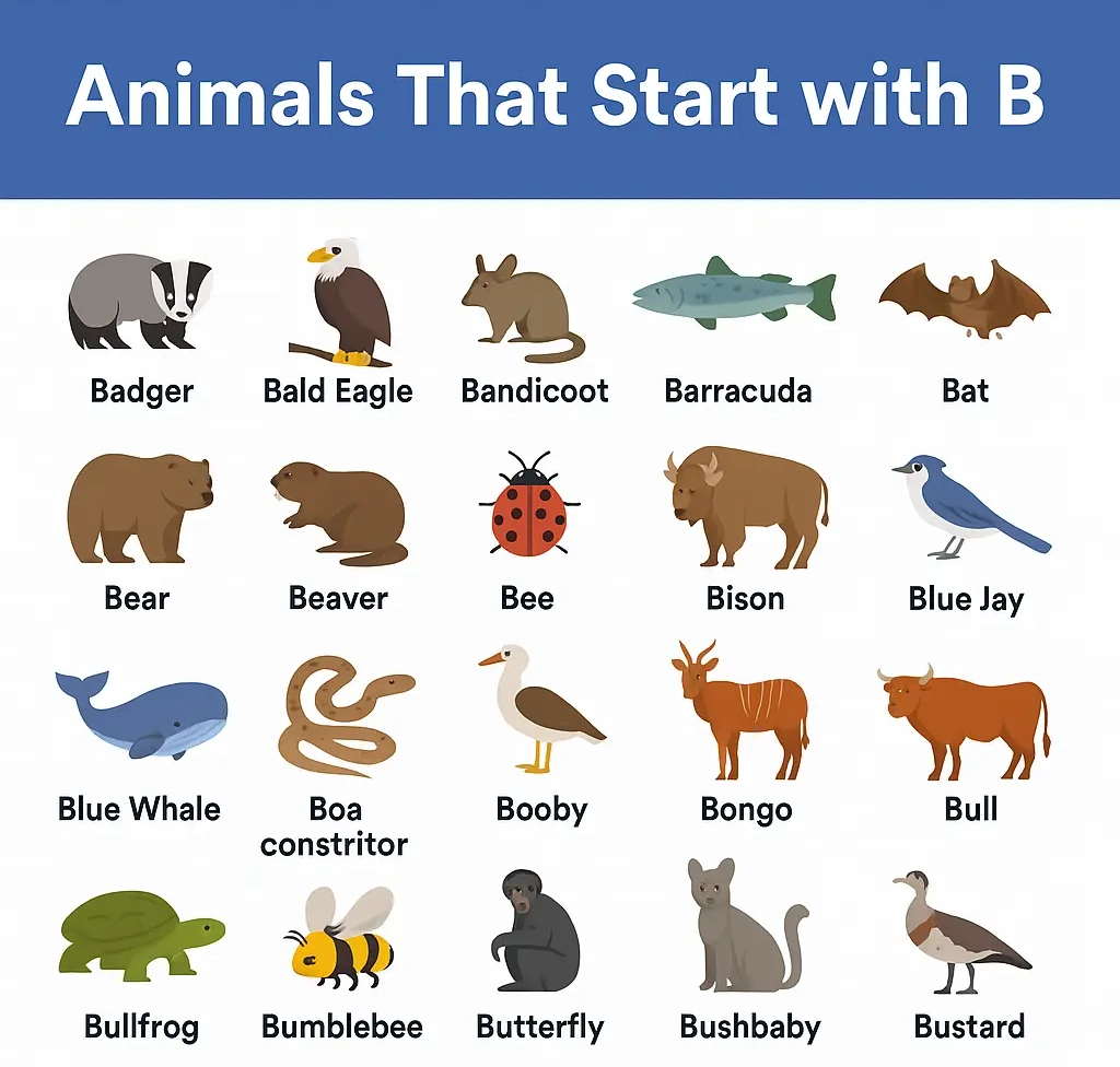Animals that start with the letter b