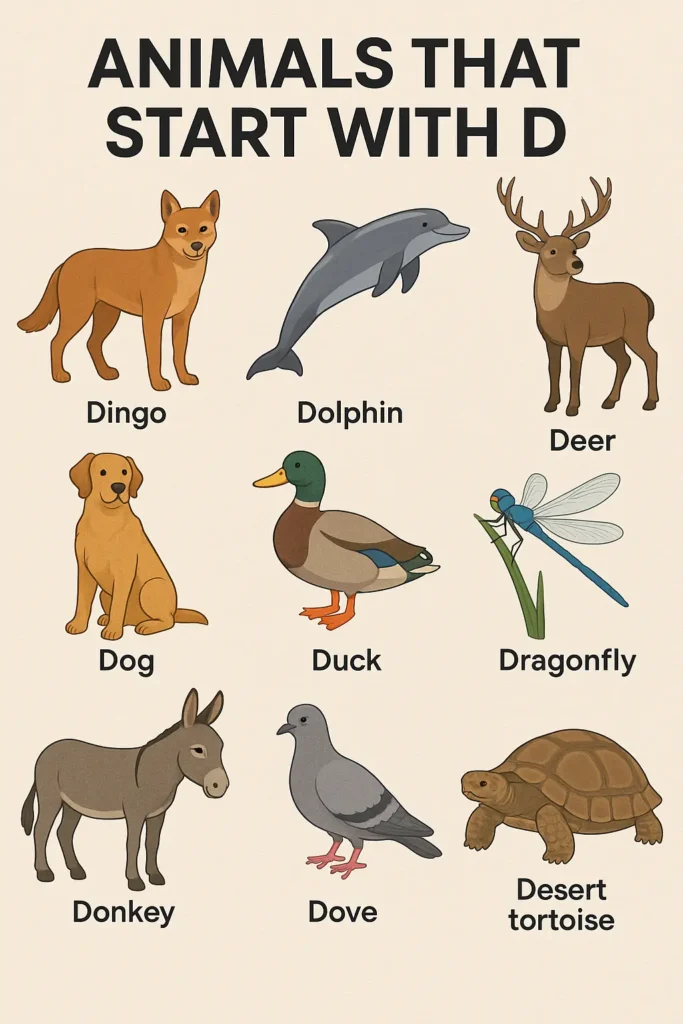 Animals that start with d