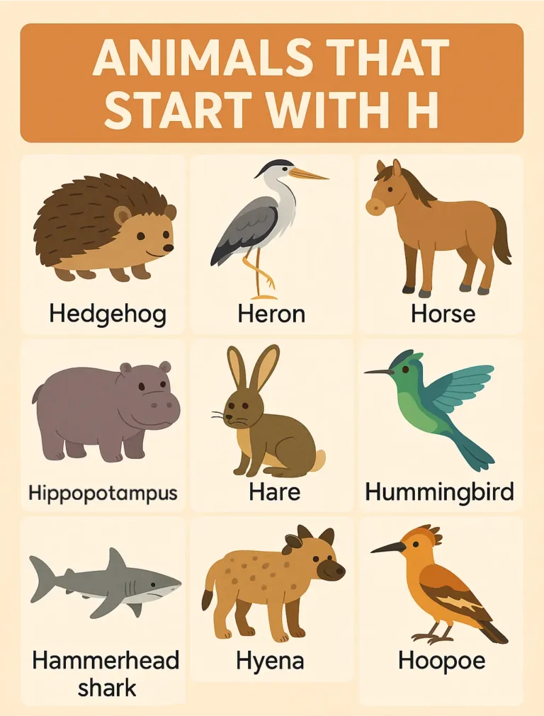 Animals that start with h